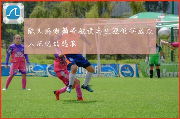 欧文感慨巅峰被遗忘生涯低谷成众人记忆的悲哀